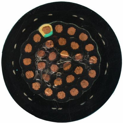 15716460806210.png image.png