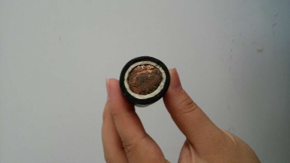 WDZ-DCYJ-125 500V 750V 1500V 3KV机车电缆