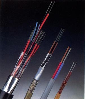 氟塑料绝缘补偿电缆 氟塑料绝缘补偿电缆