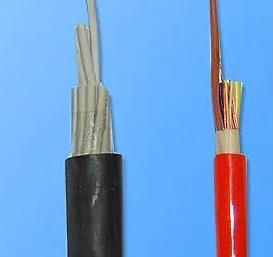 FF46-22,ZR192-FF46-22,YVF-F46氟塑料耐高温电力电缆