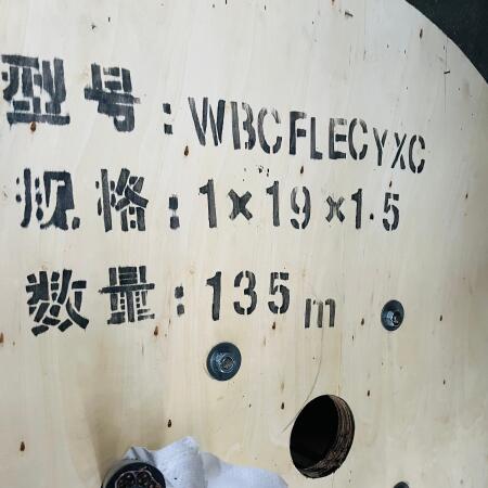 WBCFLECYXC 1*19*1.5特种电缆
