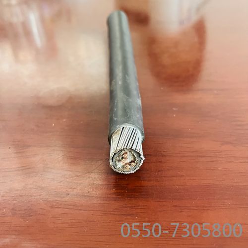 16699446624284.jpg 钢丝铠装电缆10.jpg