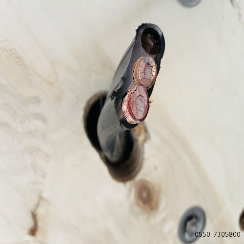 16809165605595.jpg 特种电缆...27.jpg