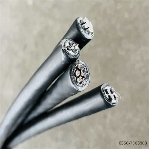 16836813694523.jpg 特种电缆厂家29.jpg