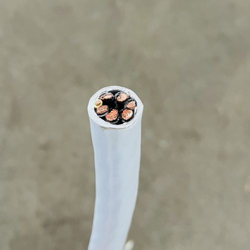 16967293147577.jpg IMG_6525.jpg