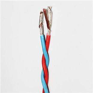 WDZN-RYJS-2*2.5清洁环保电缆